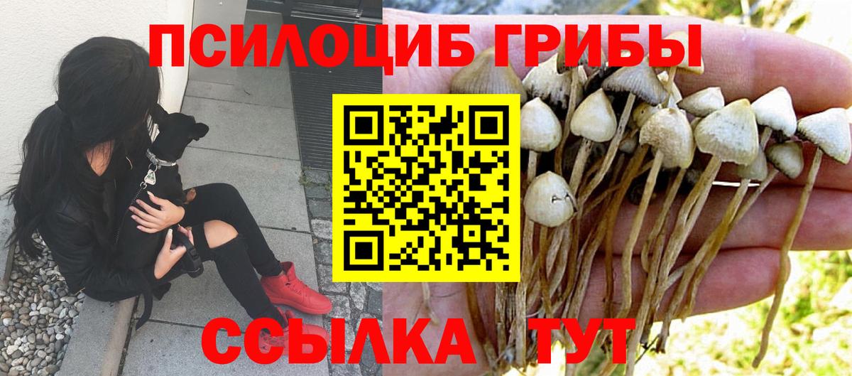 Галлюциногенные грибы прущие грибы  Вход с VPN  наркота  Анжеро-Судженск  Галлюциногенные грибы мухоморы 